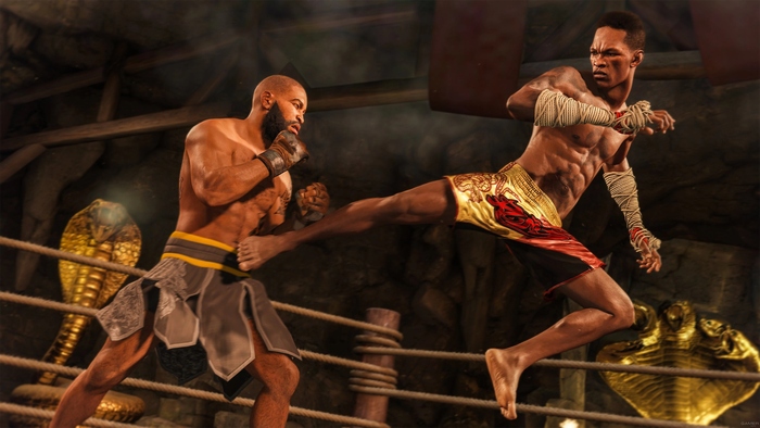 Игра EA SPORTS UFC 4 для PS4 (Русская версия) №6