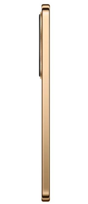 Смартфон Honor X9d 12/256 ГБ, Терракоторый, Dual nano-SIM детальное изображение - 4