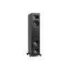 Напольная акустика Martin Logan Motion F10 Gloss, Черный вариант - 2