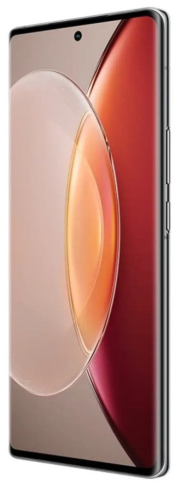 Смартфон Vivo X90 Pro Plus 512 ГБ, Красный, Dual nano SIM детальное изображение - 2