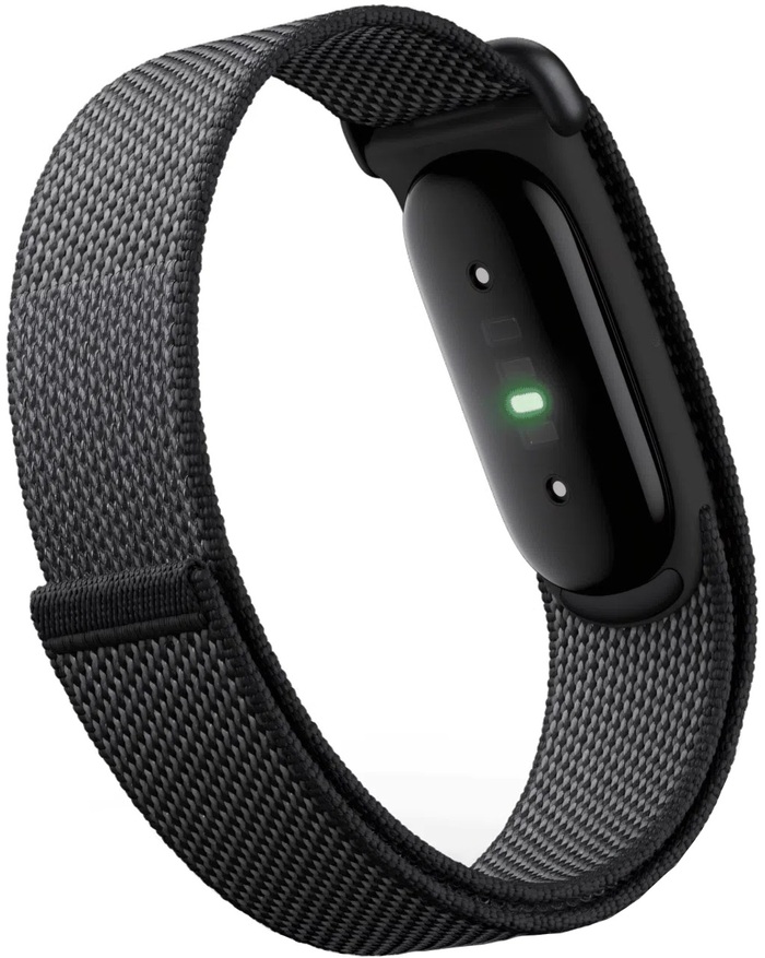 Фитнес-браслет Google Fitbit Air, Черный №3