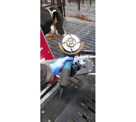 Угловая шлифмашина Makita, плавный пуск, антирестарт, коробка GA5030RX8 (Makita GA5030R+Диск B-45808, 5 шт), 125 мм, 11000 об/мин, 720 Вт детальное изображение - 15