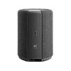 Беспроводная акустика Audio Pro A10 MKII, Серый вариант - 5