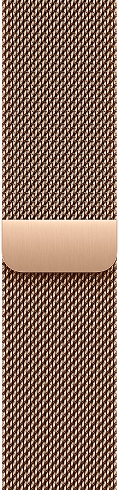 Умные часы Apple Watch Series 11 42 мм, Slate Titanium Case with Slate Milanese Loop, GPS + Cellular, Черный детальное изображение - 3