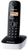 Радиотелефон Panasonic KX-TG1611 Panasonic KX-TG1611 вариант - 7