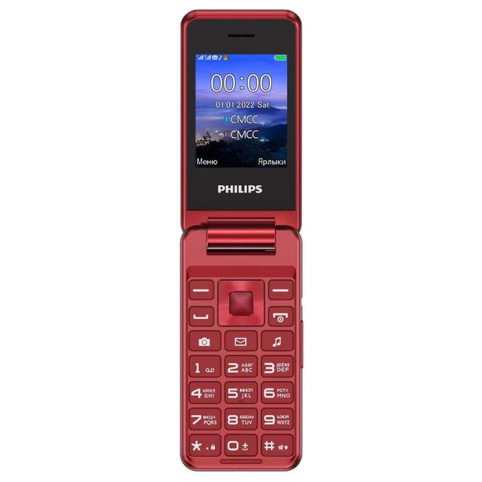 Кнопочный телефон Philips Xenium E2601, серебряный №1