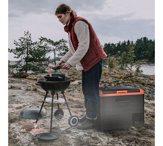 Автомобильный компрессорный холодильник Alpicool CL50, 990143, 12/24 В, Черный детальное изображение - 15