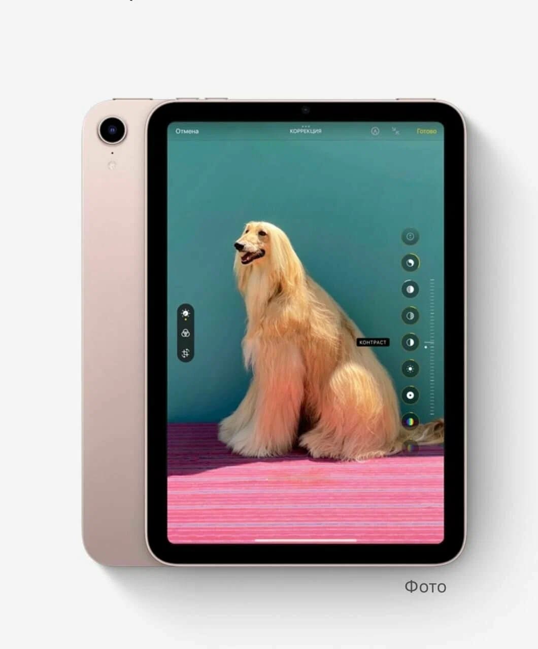 Планшет Apple iPad mini 2021 256 ГБ, Розовый, Wi-Fi детальное изображение - 8