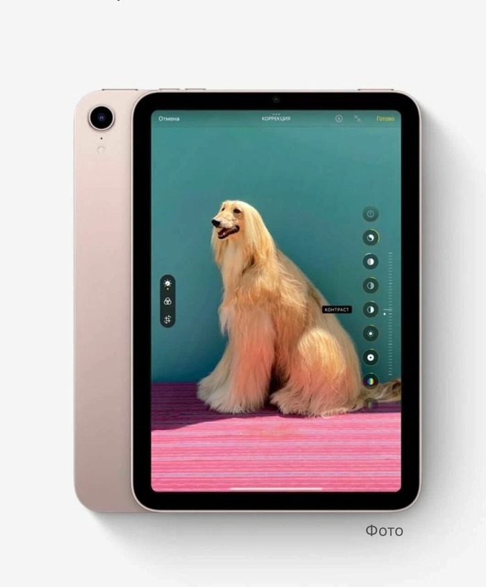 Планшет Apple iPad mini 2021 256 ГБ, Розовый, Wi-Fi №8