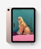 Планшет Apple iPad mini 2021 256 ГБ, Розовый, Wi-Fi вариант - 8