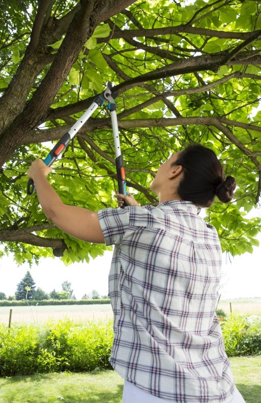 Сучкорез GARDENA TeleCut 520-670 B 12005-20 детальное изображение - 3