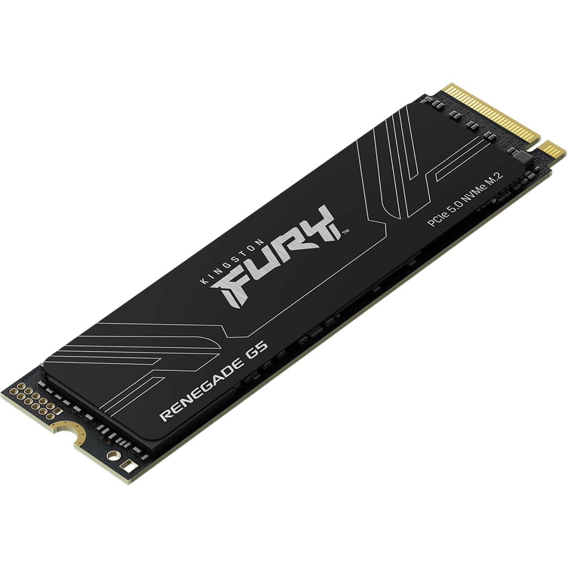 Накопитель SSD Kingston FURY Renegade G5 SFYR2S/1T0, 1 Тб детальное изображение - 1