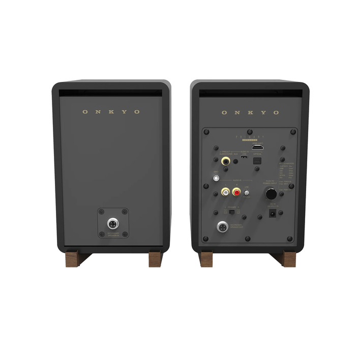 Беспроводная акустика Onkyo GX-30ARC, Черный №6