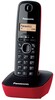 Радиотелефон Panasonic KX-TG1611 Panasonic KX-TG1611 вариант - 4