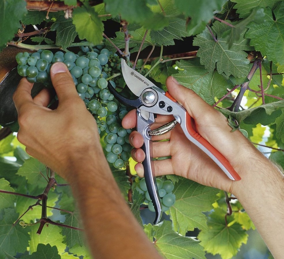 Секатор GARDENA Premium BP 50 8702-20 детальное изображение - 2