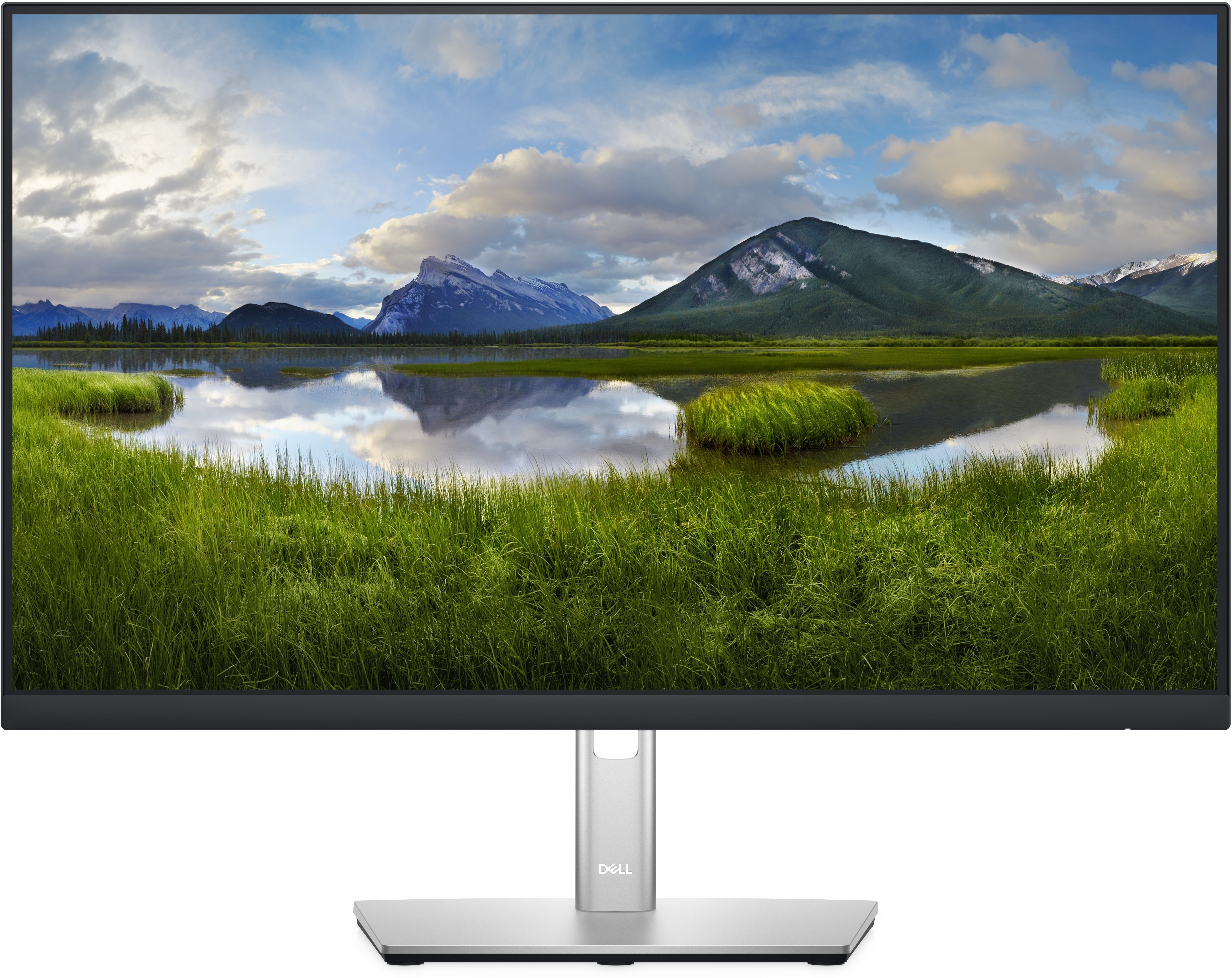 Монитор Dell P2422H, 24