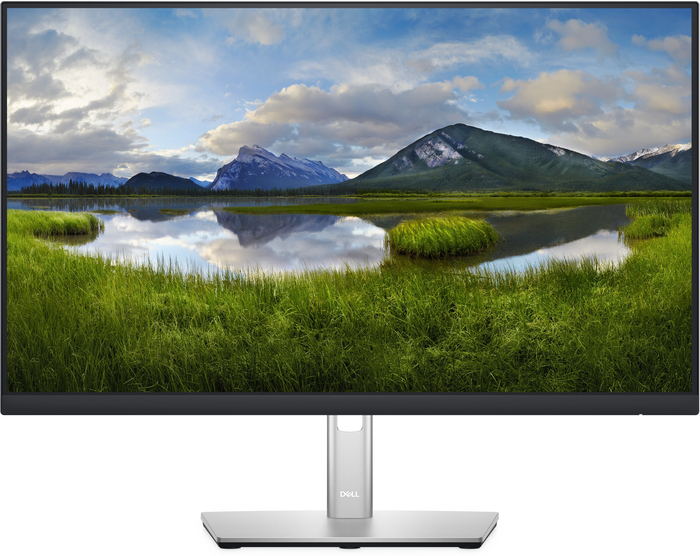Монитор Dell P2422H, 24