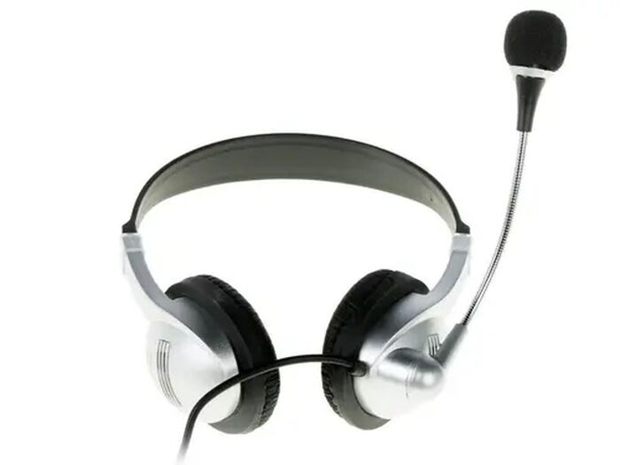 Проводные наушники Ritmix RH-533 USB, Серебристый №2