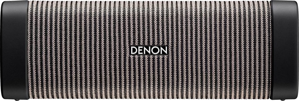 Портативная колонка Denon Envaya Mini DSB-150, Серый детальное изображение - 2