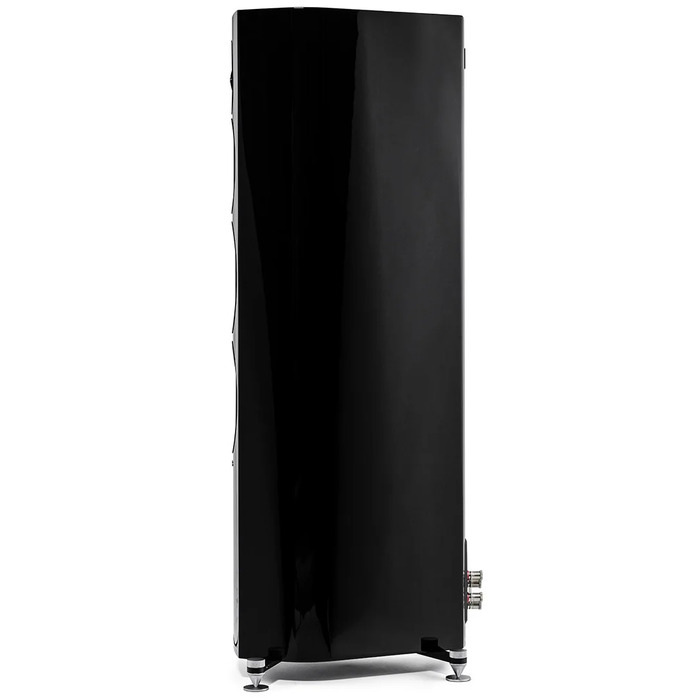 Напольная акустика Sonus Faber Sonetto V, Черный №3