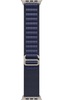 Умные часы Apple Watch Ultra 2 2024, 49 мм, Natural Titanium case with Blue Alpine Loop вариант - 3