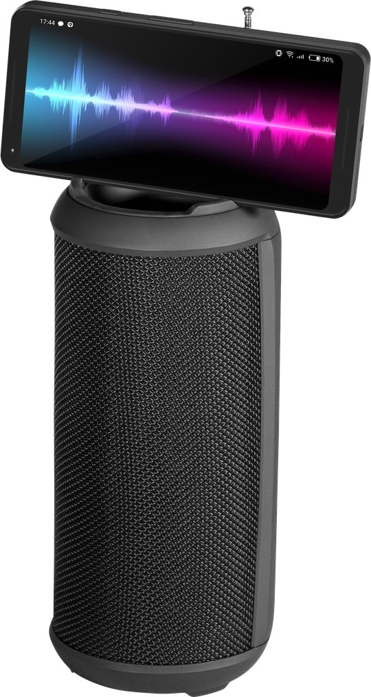 Портативная колонка Defender G42, Черный детальное изображение - 8