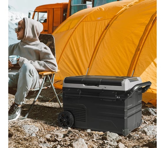 Автомобильный компрессорный холодильник Alpicool ETWW45, 990085, 12/24/220 В, Черный детальное изображение - 12