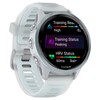 Умные часы Garmin Forerunner 570 42 мм, Светло-серый, алюминиевый безель, облачно-голубой ремешок вариант - 3